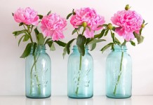 jars with flowers