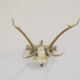 Antler Wall Piece - Lovestruck Weddings