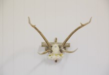 Antler Wall Piece - Lovestruck Weddings