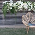 Rattan Love Chair - Lovestruck Wedding Hire