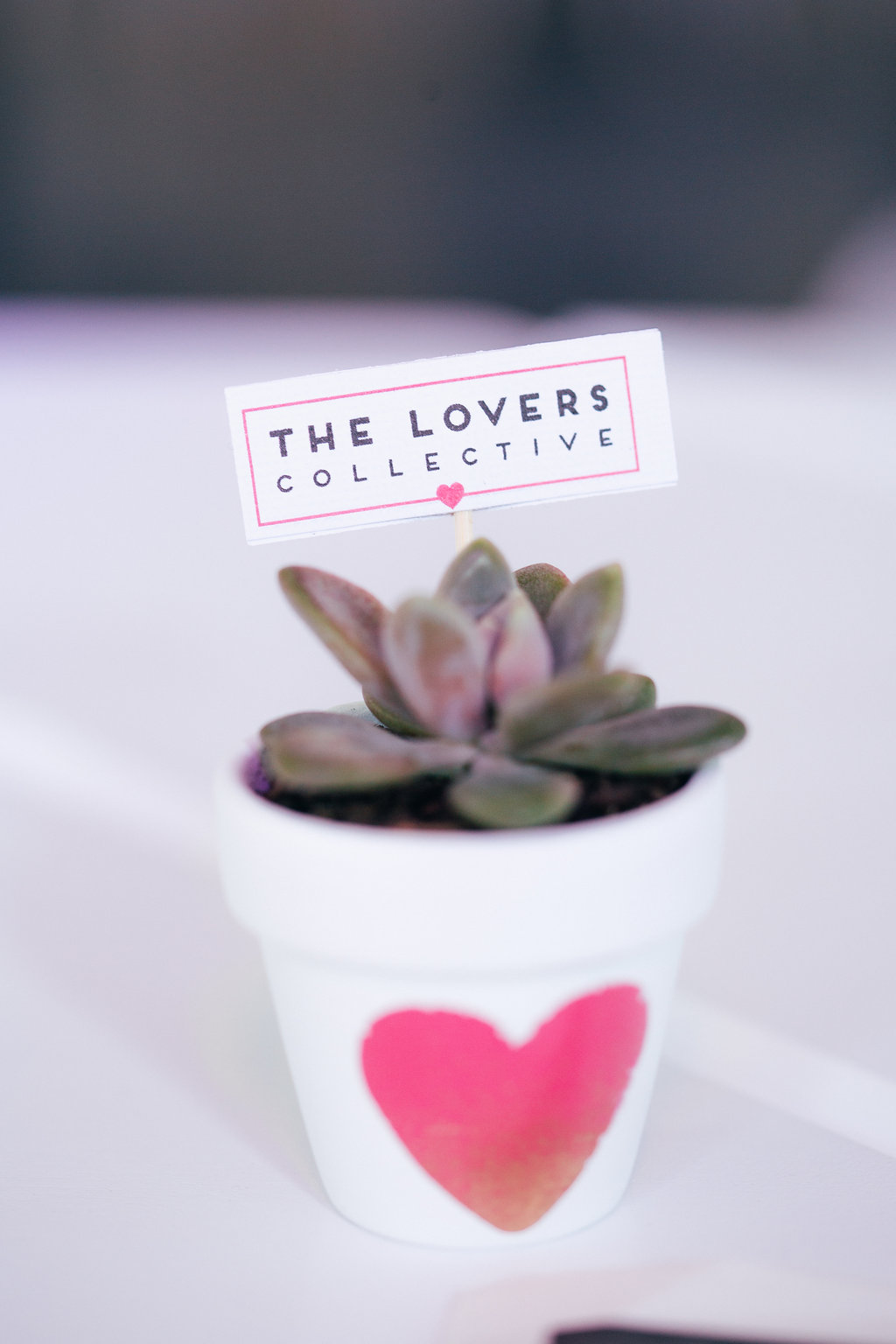 Succulent favour by Fair Light Blessed.  The Lovers Collective Brisbane.